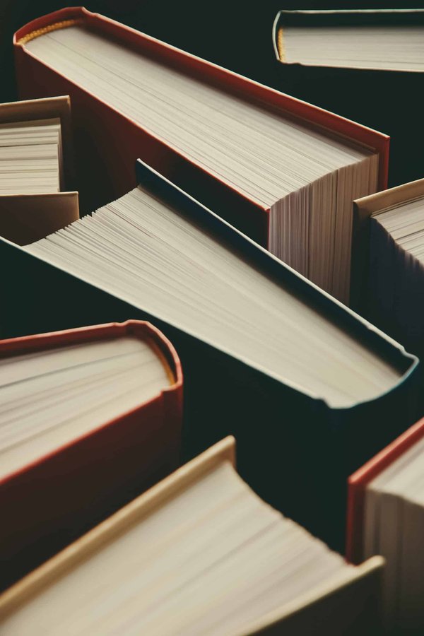 Découvrez les auteurs de la compagnie littéraire